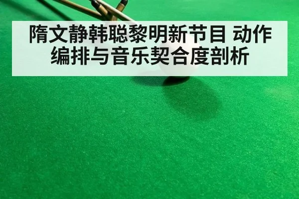 隋文静韩聪黎明新节目 动作编排与音乐契合度剖析
