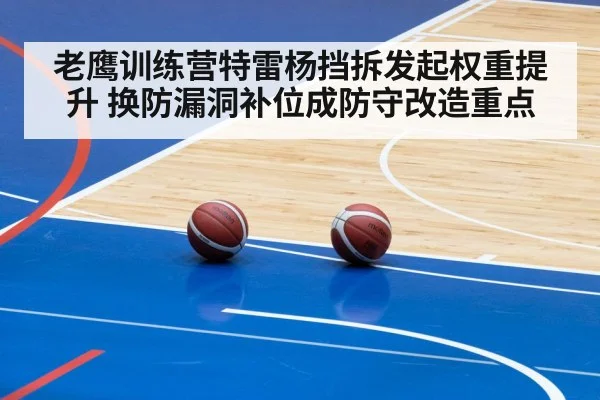 老鹰训练营特雷杨挡拆发起权重提升 换防漏洞补位成防守改造重点